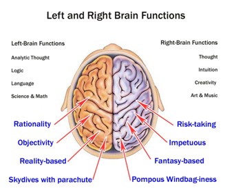 Brain Functions Left Brain Vs. Right Brain