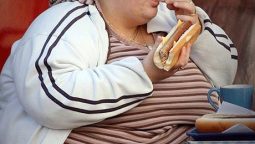 Obesity and Cancer