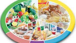 Learn Your Food Group