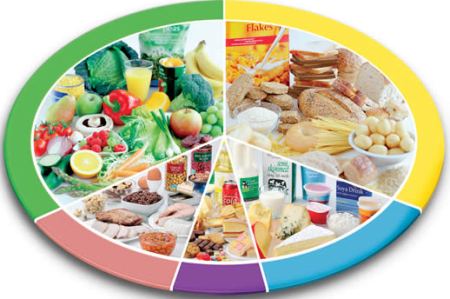 Learn Your Food Group