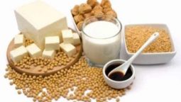 Protein Nut and Natural Chocolate