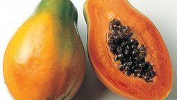 Health Benefits of Papaya